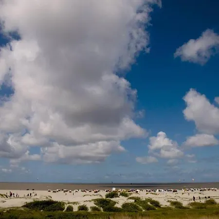 Bunte-kuh Norddeich (Norden)